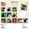 BrownTrout; Tuxedo Cats | 2027 12 x 24 Inch (Hanging) Monthly Square Wall Calendar | Plastic-Free; Category:Wall Calendars; Image:3